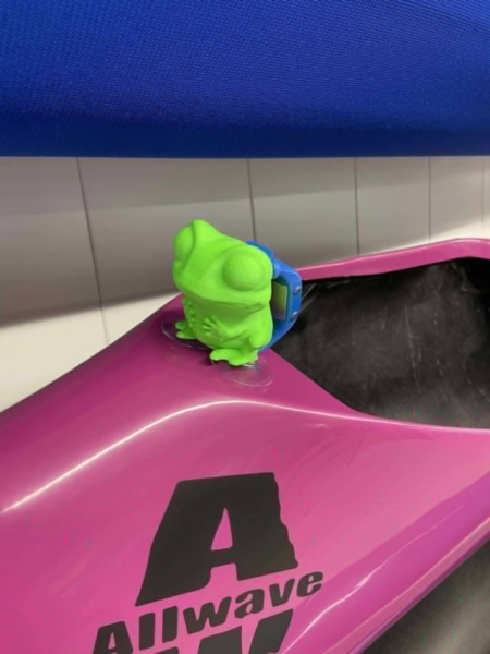 Porte montre grenouille